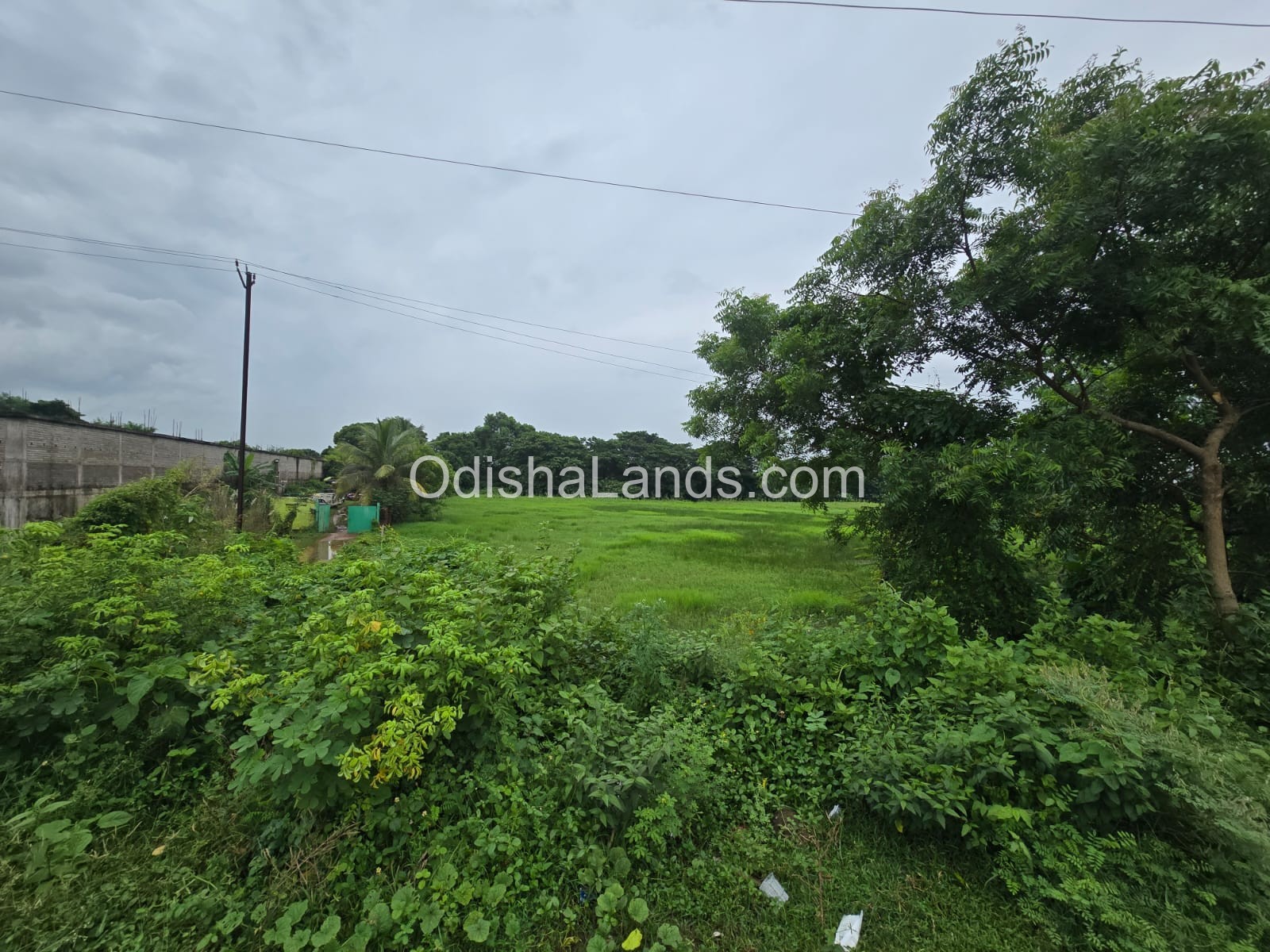 15899 sqft commercial land for sale in puri Cuttack bypass road