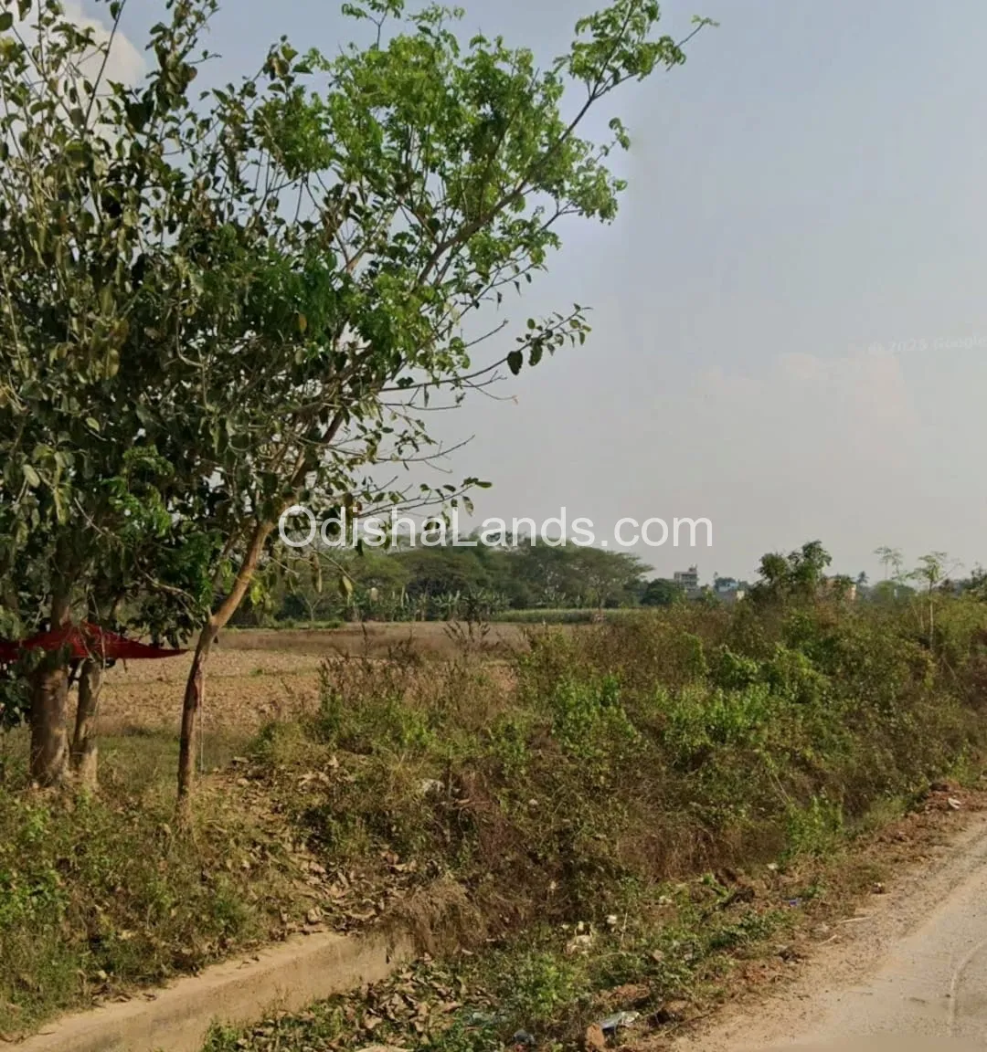 2400 sqft land for sale in Kalarahanga(Tangibanta).