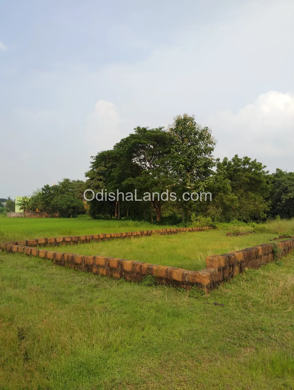 Gharabari 2700 sqfeet plot at Guali,Trinath Bazar,Bhubaneswar