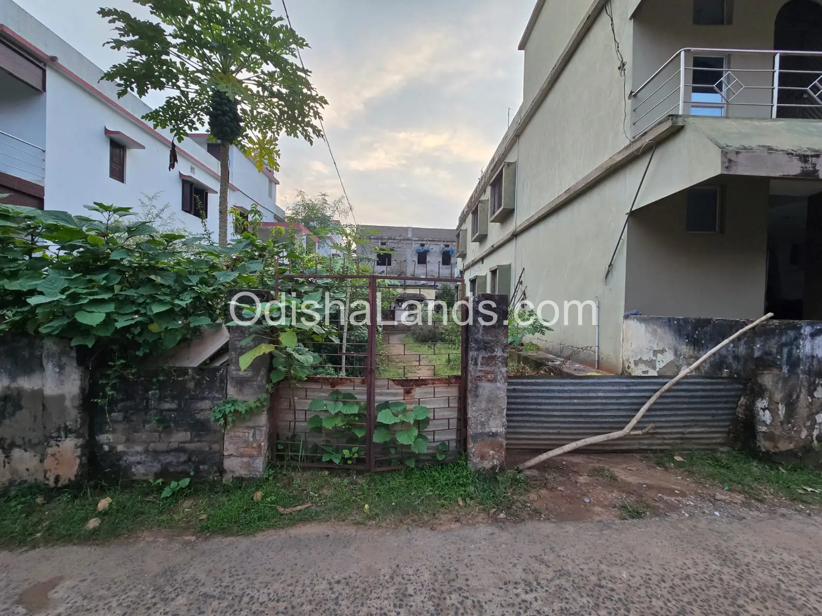 1700 sqft plot for sale in Nayapalli.