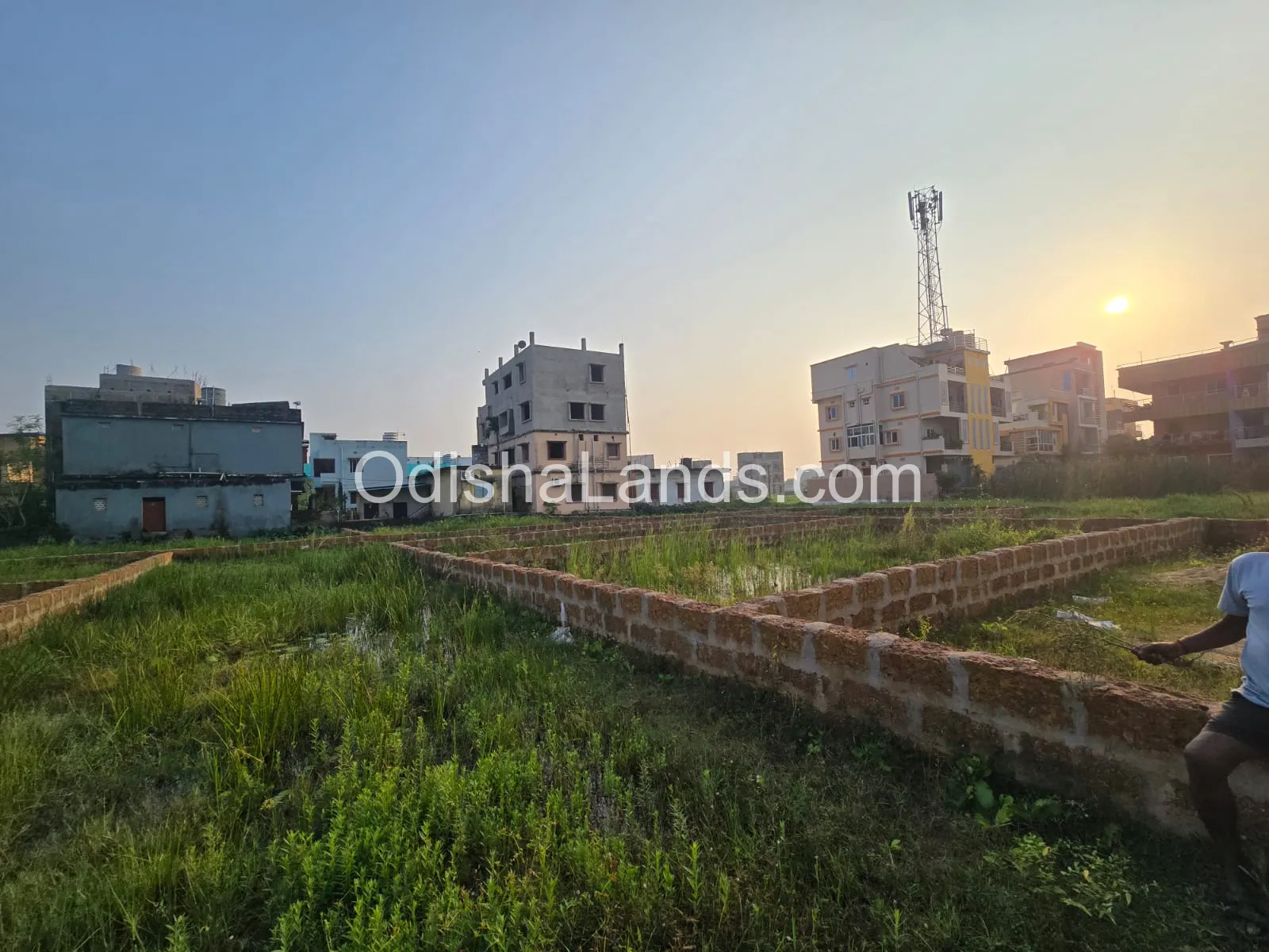 1300 sqft land sale in Koradakanta, Adarsha Nagar.