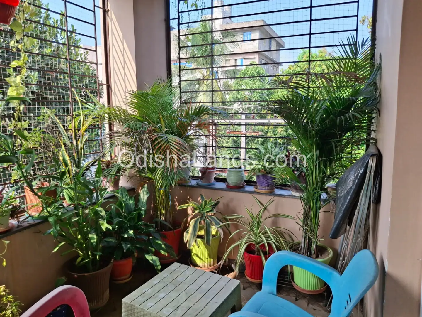 3 bhk sapcious fully furnished apartment for sale in BJB Nagar.
