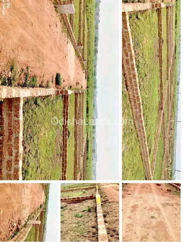 Low cost investment planing plot 