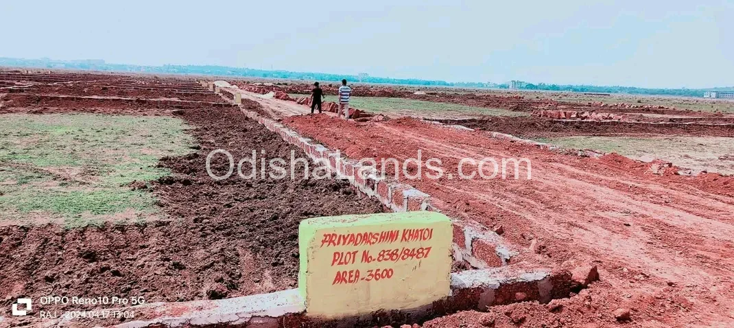 Low cost investment planing plot