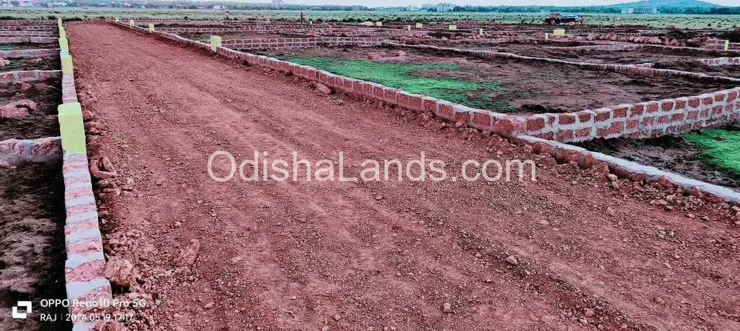 Low cost investment planing plot