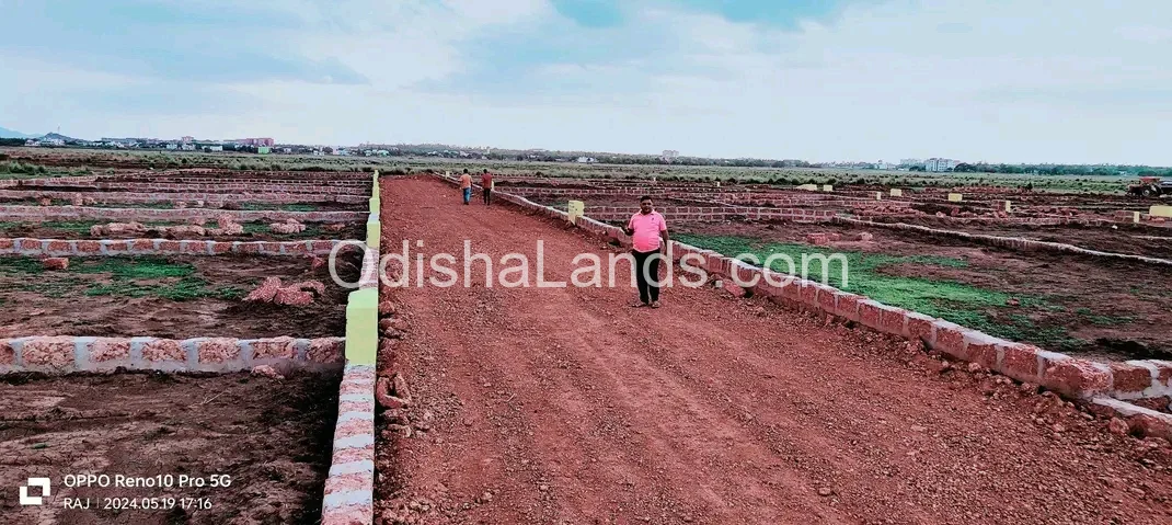 Low cost investment planing plot
