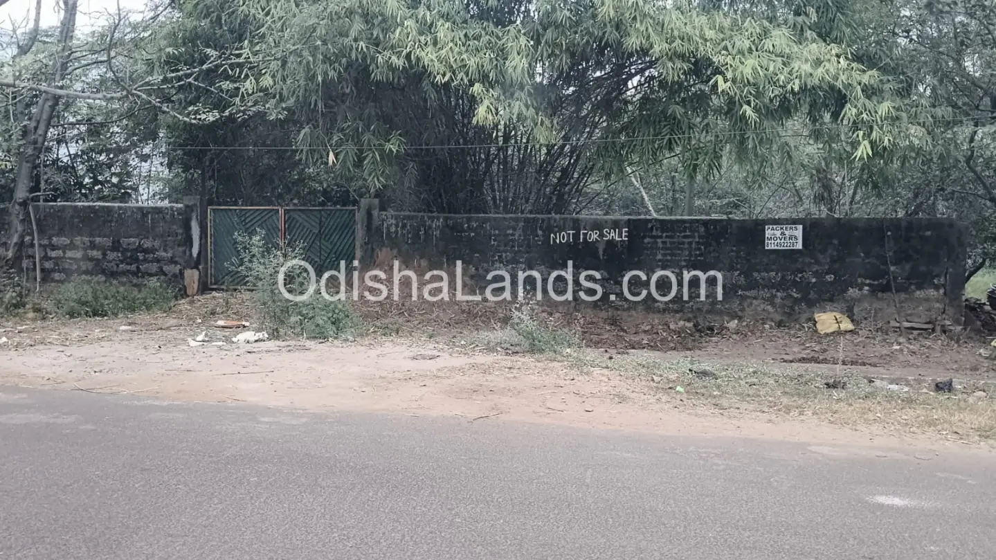 9556 sqft plot for sale in Patia behind Koyel Campus with 40 feet road