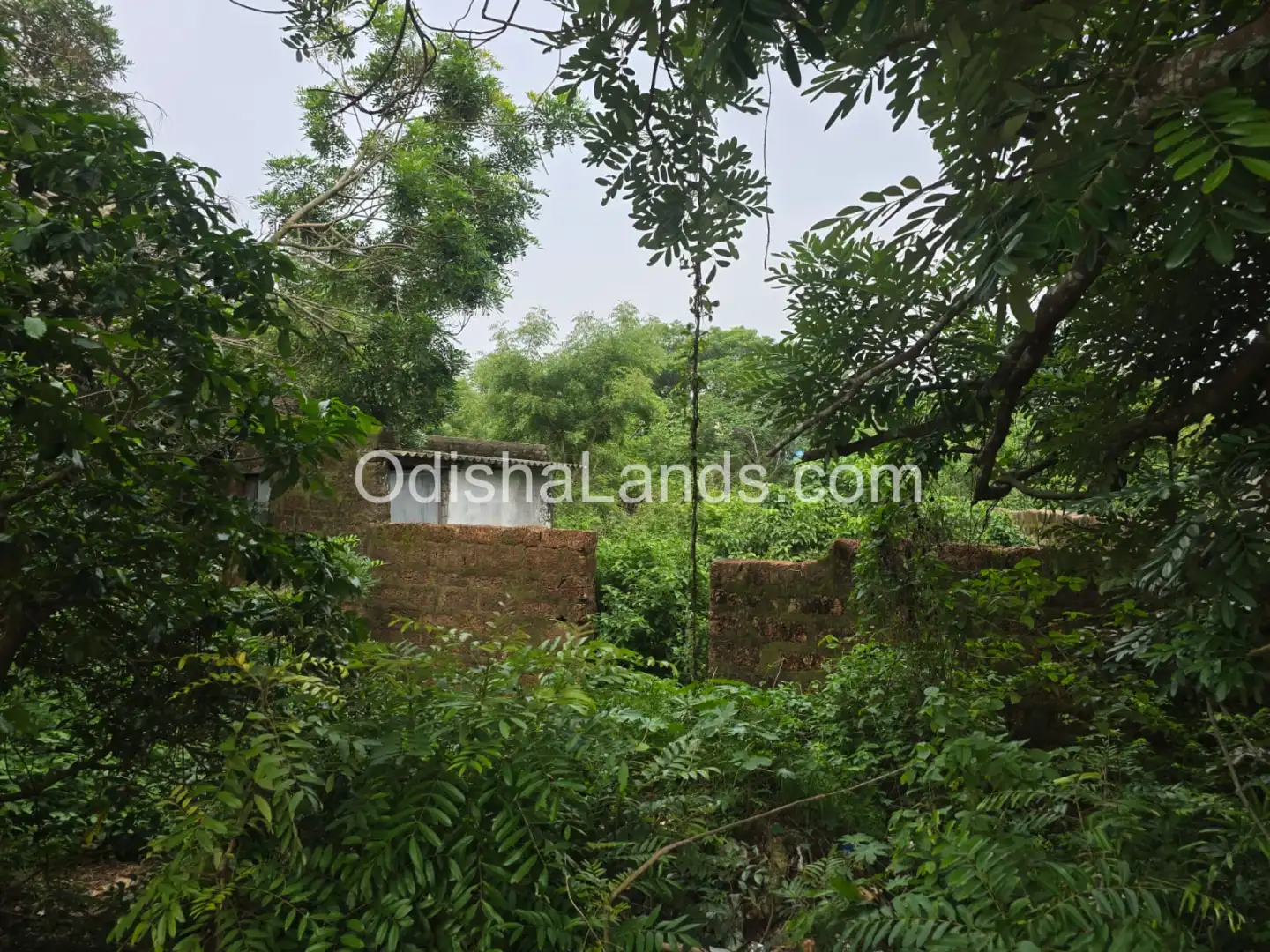 2400 sqft GA land for sale in Bharatpur.