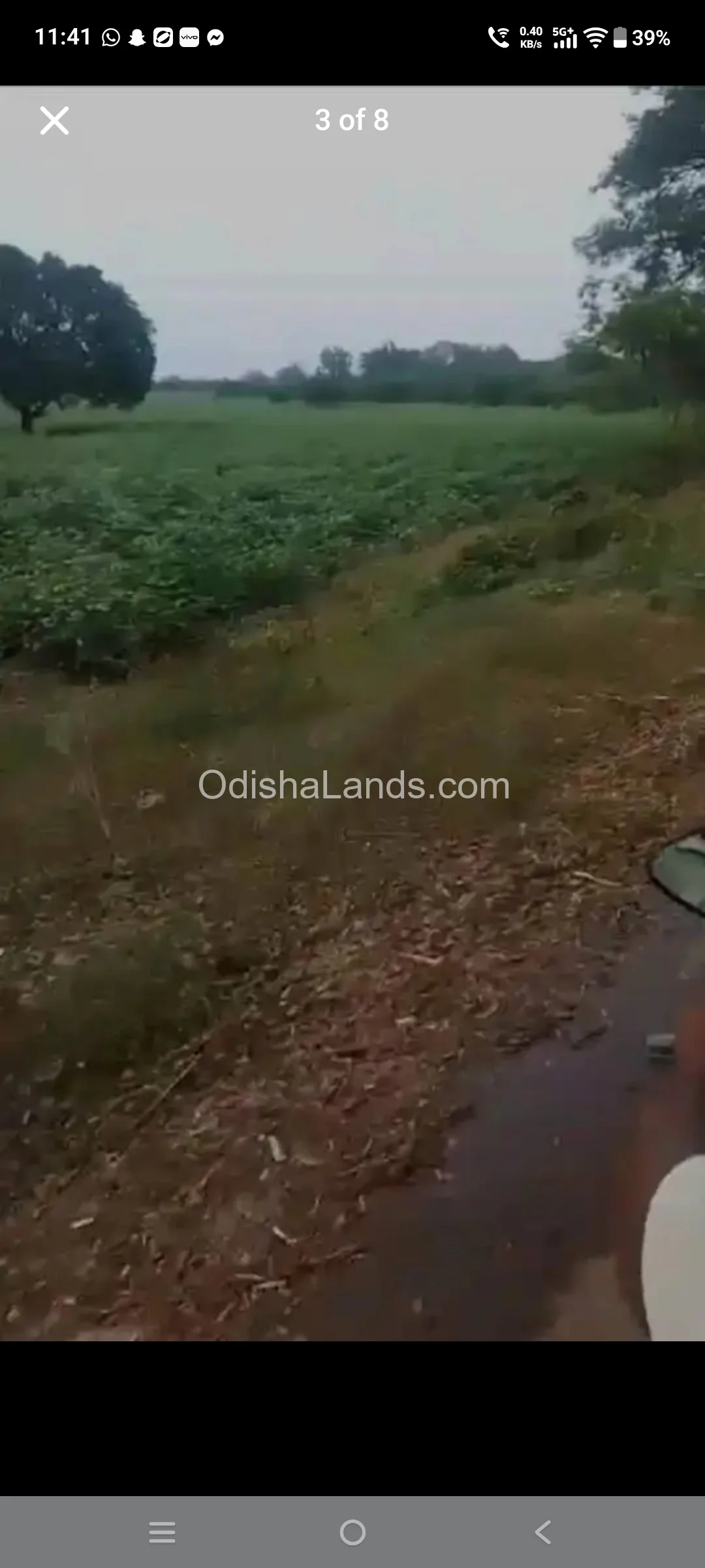 160 acres land sale in raygada