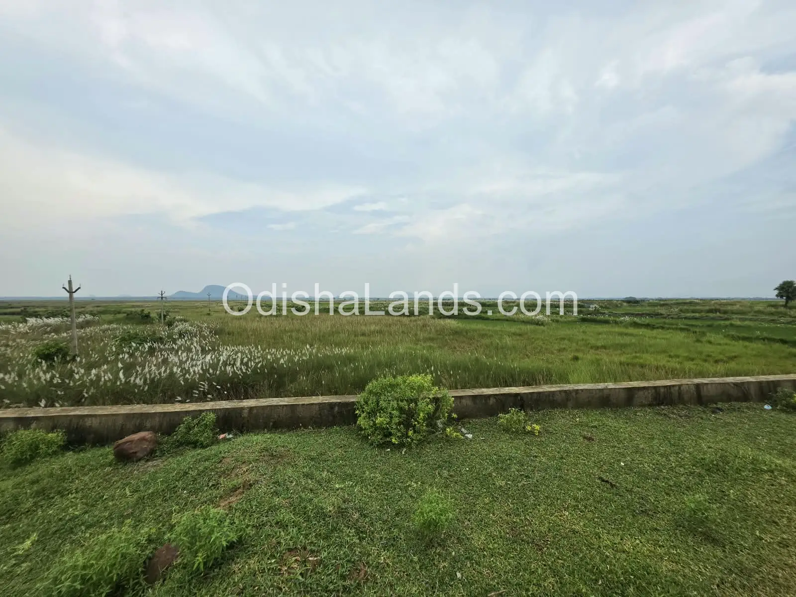 4.5 acres land for sale in Talabasta nearby Chandaka