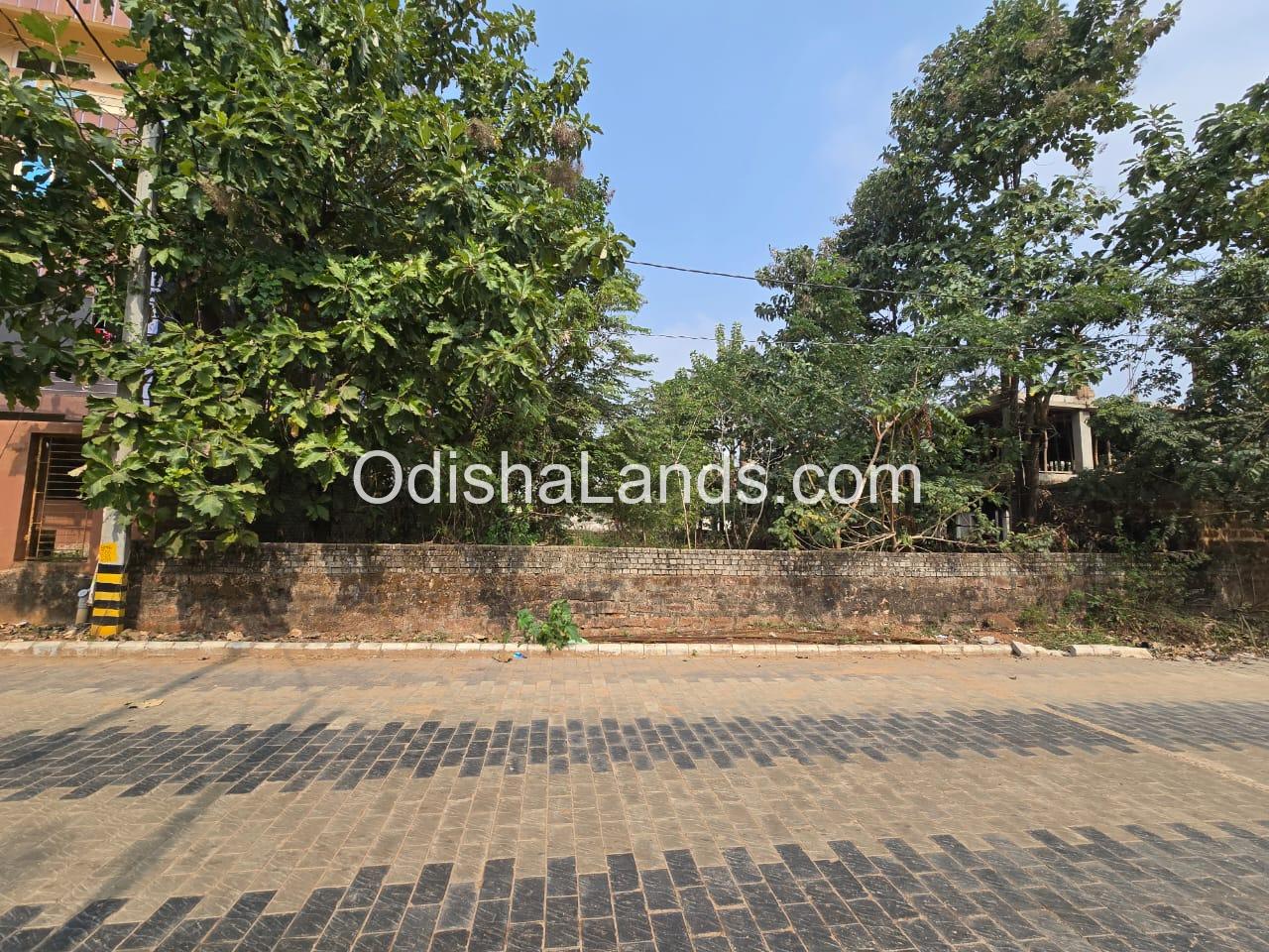 12000 Sqft Land sale in patrapada